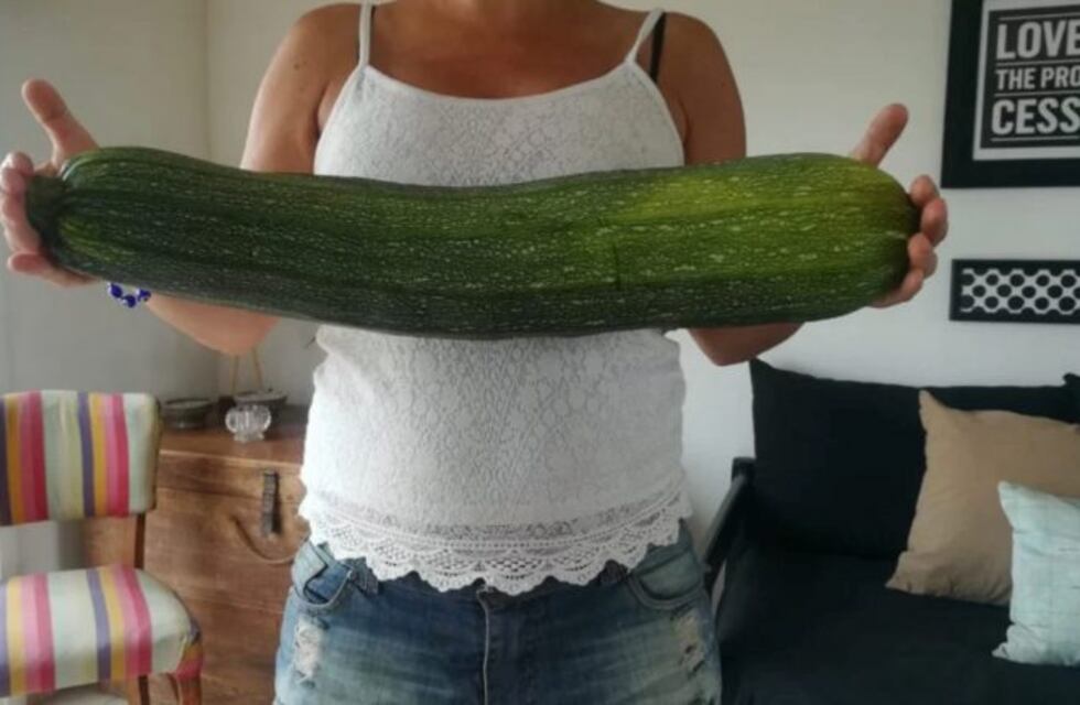 Tandil: una chica cosechó un "super zucchini" de 60 centímetros
