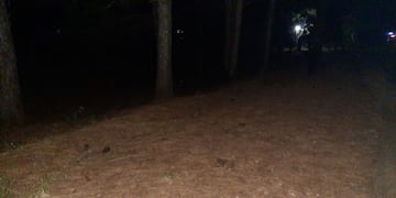 El joven perdió el control de la moto cuando pasó sobre un badén\u002E