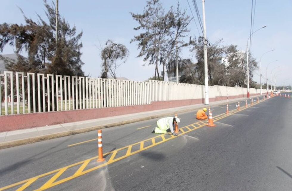 Finalizan las ciclovías en Francisco de Haro para completar la circulación de norte a sur