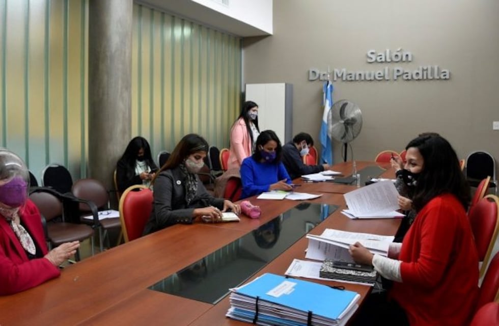 La Legislatura interviene en caso de una niña abusada en Monterrico