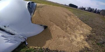 Rompieron silobolsa de 100 toneladas tras la protesta del campo (Productores Autoconvocados)