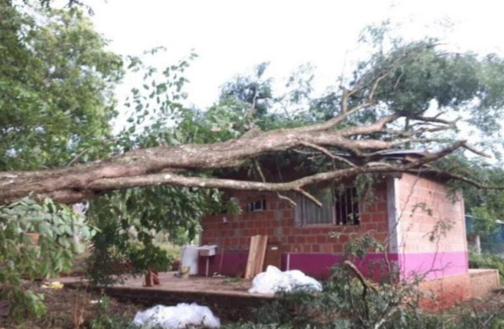 Un árbol aplastó una casa en el medio del temporal en Misiones