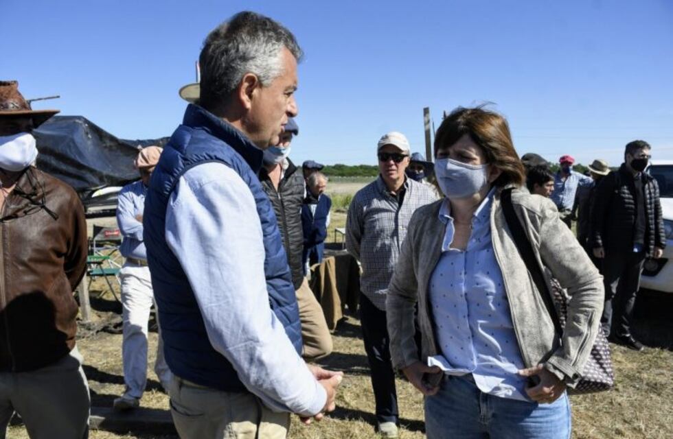 Patricia Bullrich, sobre los desalojos: "Se ratificó que la propiedad es inviolable"