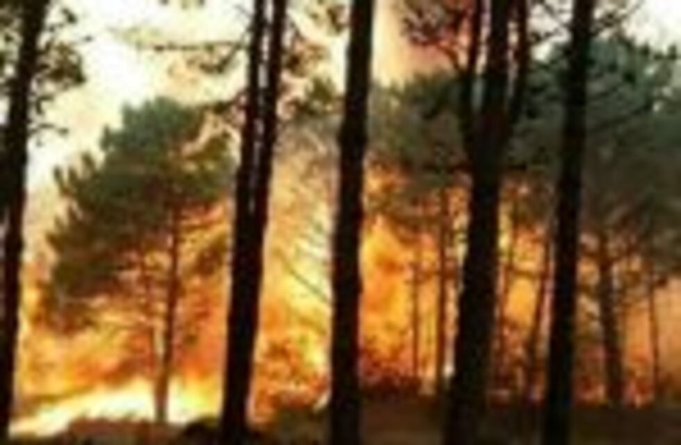 Nación envió dos aviones hidrantes para combatir el fuego en Cariló