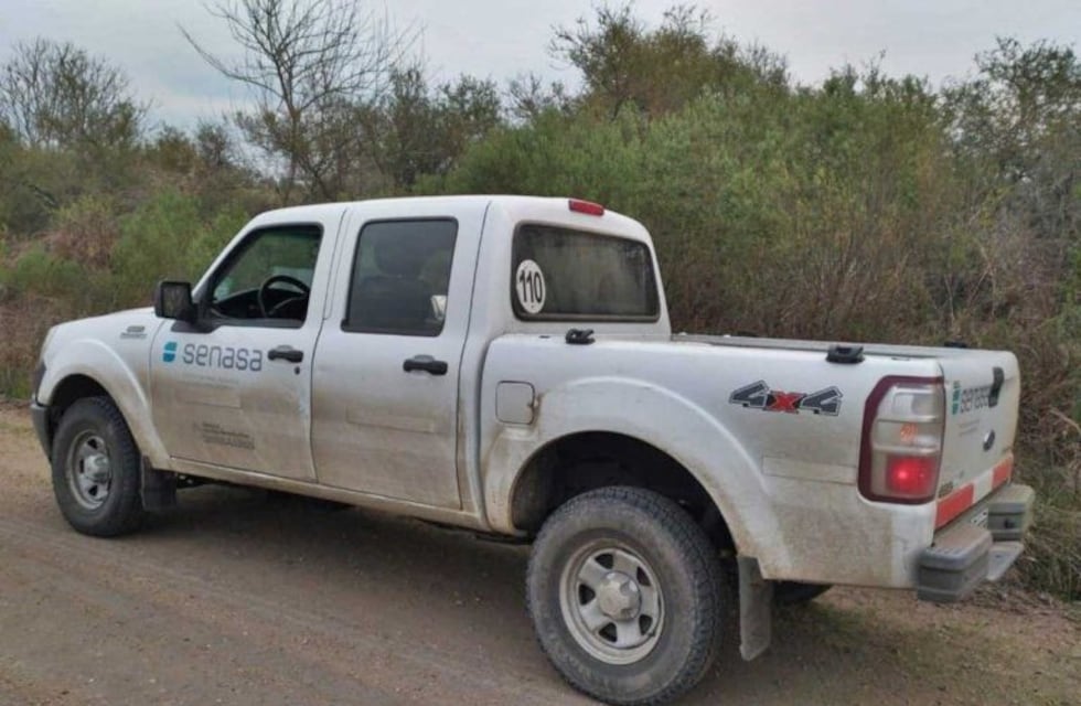 Las langostas están en el departamento Federación