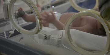 Imagen ilustrativa\u002E