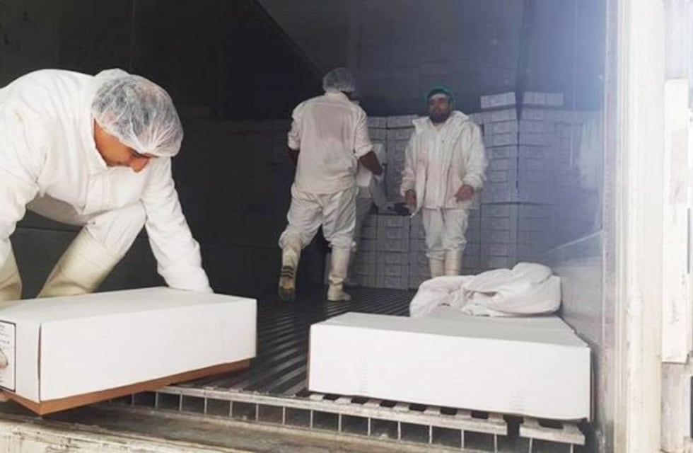 El Frigorífico Santa Isabel exporta caprinos a Angola y ovinos a Brasil