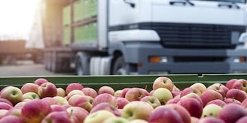 Es obligatorio el Control Bromatológico de las Unidades de Transporte de Alimentos (UTA)
