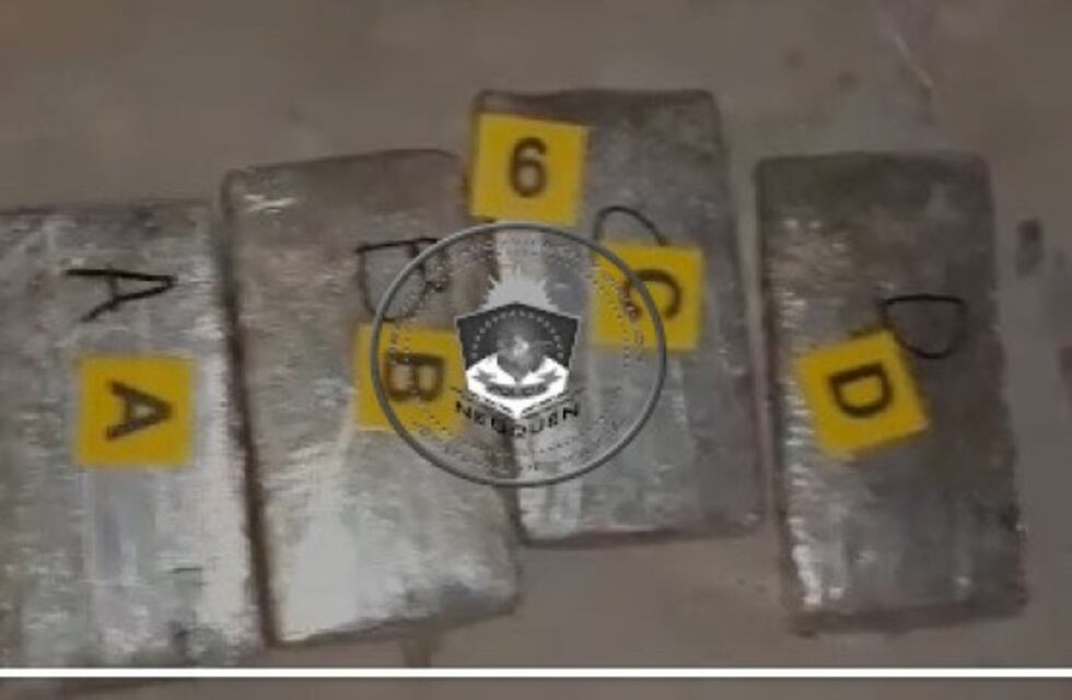 Detuvieron a dos personas en Neuquén mientras transportaban drogas