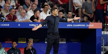 El entrenador oriundo de Murphy dejó su cargo en noviembre\u002E (DPA)