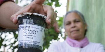 Control de mosquitos transmisores del dengue en Posadas\u002E