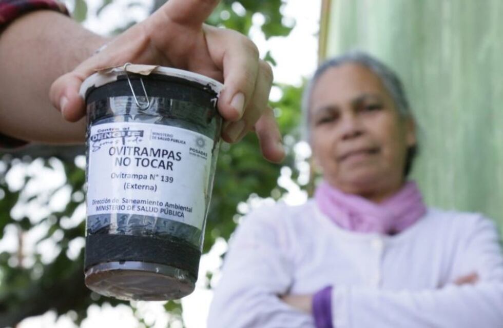 Combaten mosquitos en el período de interbrote del dengue