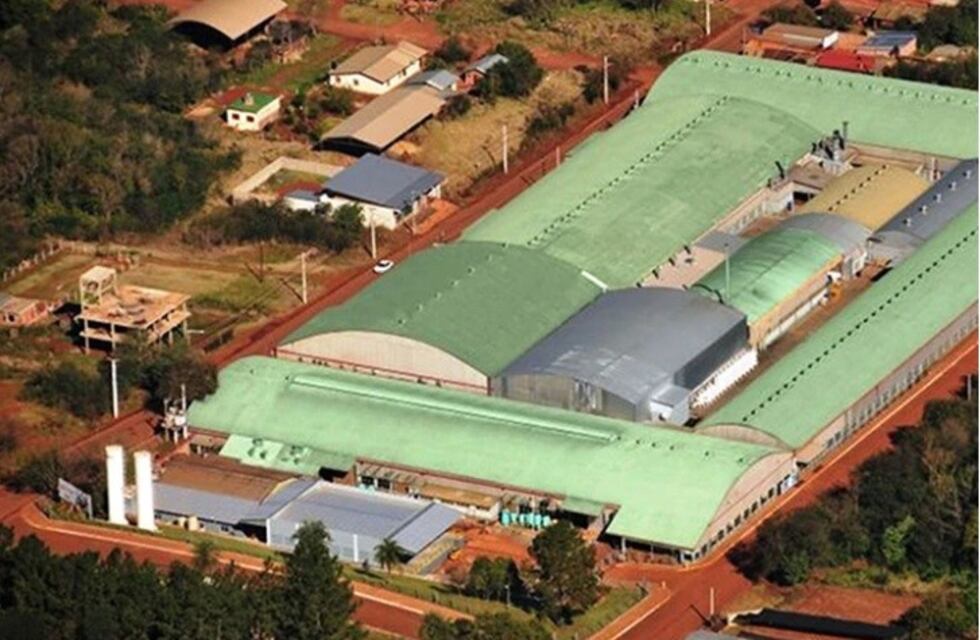 Bajo estrictas medidas de seguridad volvió a funcionar la fábrica de zapatillas de Eldorado