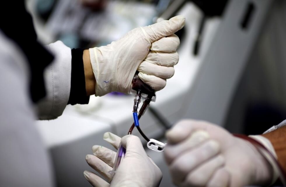 Coronavirus: impulsan un proyecto para crear un registro nacional de plasma