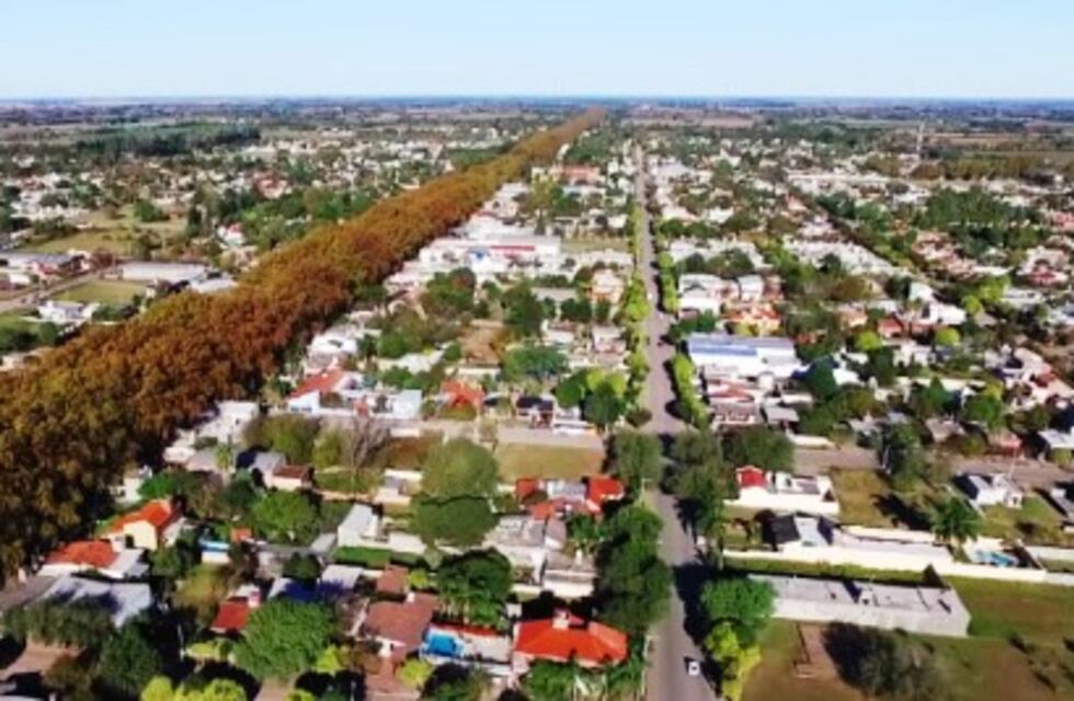 Se realizan tareas de remoción de árboles y ramas en Colonia Caroya