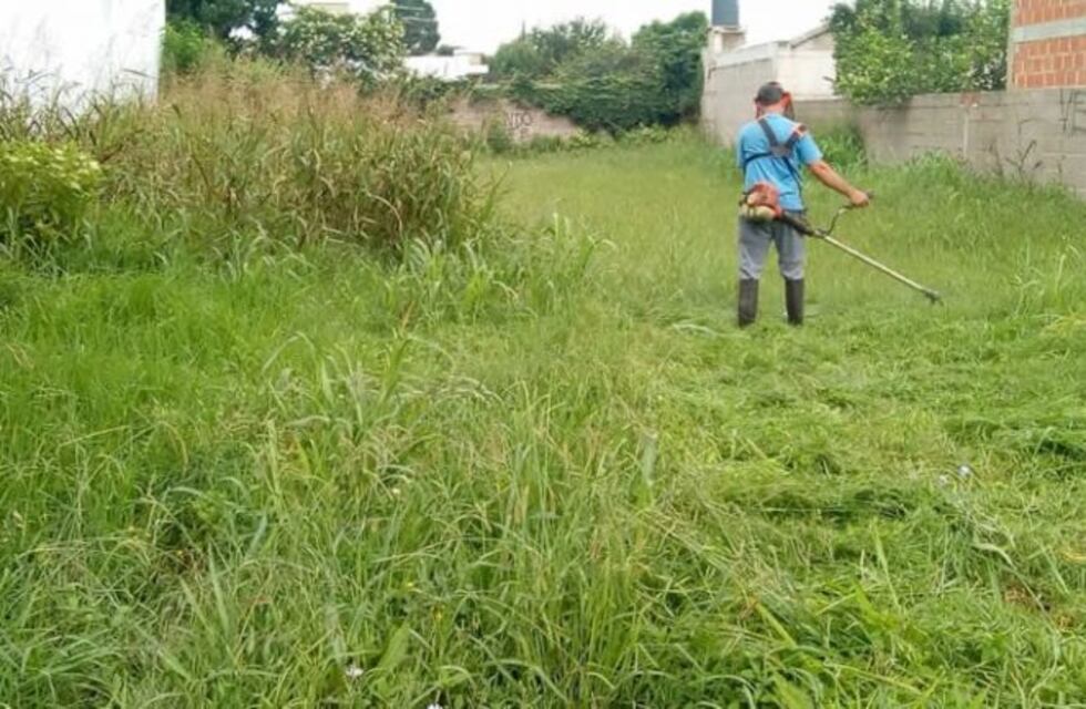 Colonia Caroya: refuerzan controles por el mantenimiento de sitios baldíos