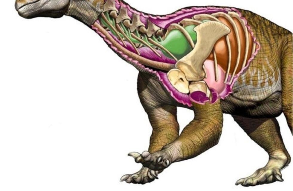 Así era el dinosaurio gigante que vivió en San Juan hace 200 millones de años