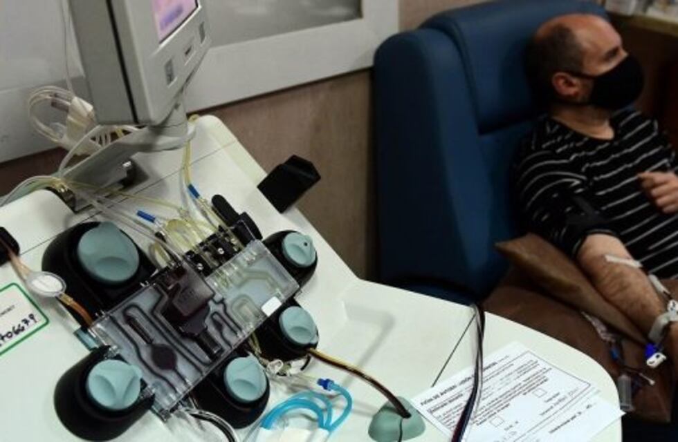 No hay relación entre la pérdida de anticuerpos de COVID-19 y la donación de plasma