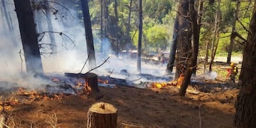 incendio Lago Puelo