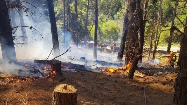 incendio Lago Puelo