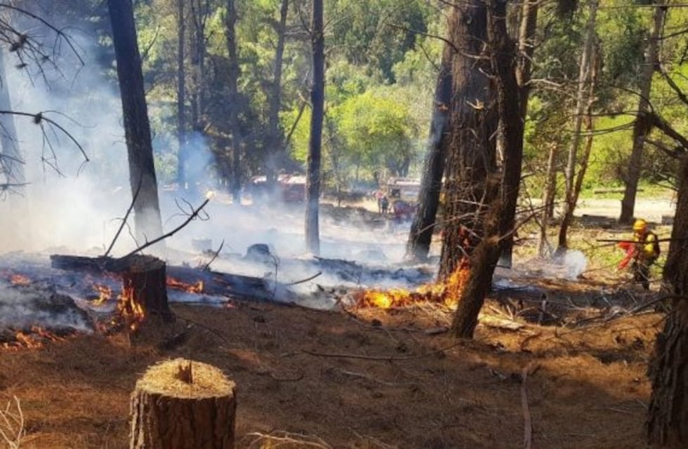 Unas 500 viviendas resultaron afectadas por los incendios en Lago Puelo y la lindera El Hoyo
