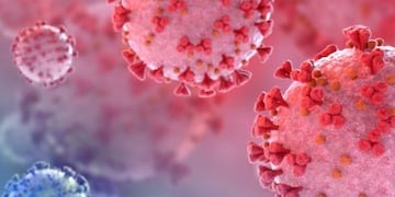 Coronavirus (Imagen ilustrativa)