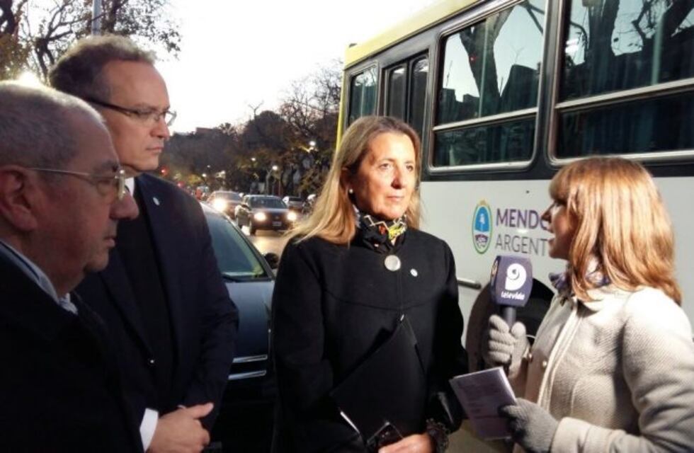 Najul confirmó que se tomará 15 días de licencia antes de las elecciones