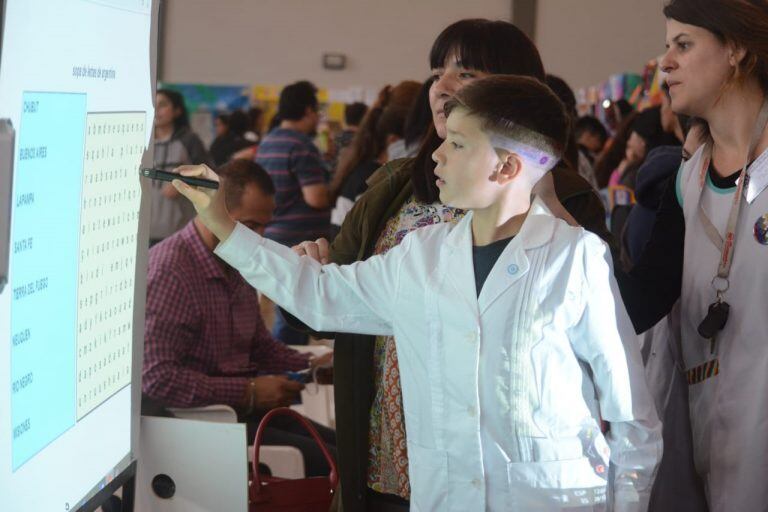 Los chicos exponen sus trabajos.