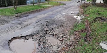 Bache en las calles de City Bell