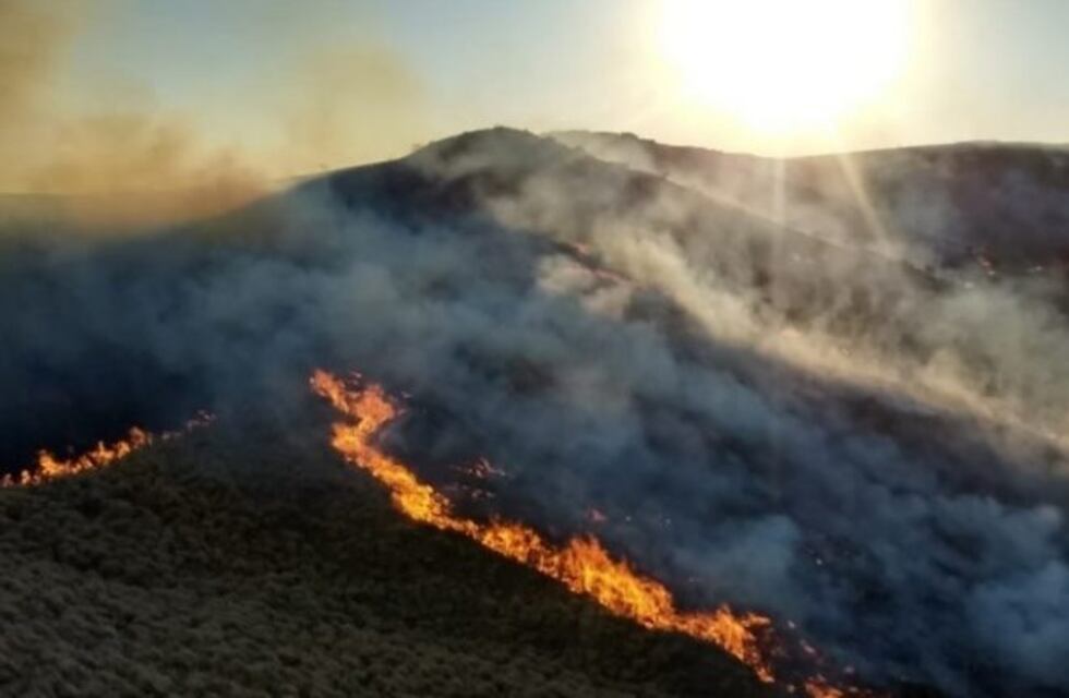 Se quemaron 700 hectáreas en el cerro El Gracián