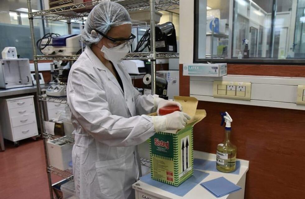Otra jornada sin casos nuevos de coronavirus en Santa Fe: hubo dos en nueve días
