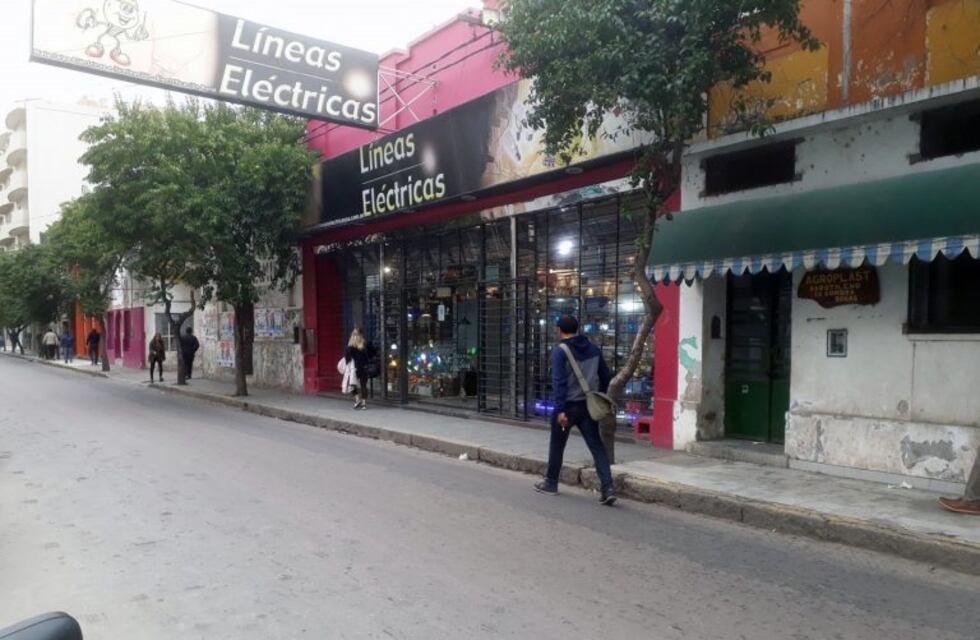 Ladrones robaron 500 mil pesos y 1.500 dólares de un comercio céntrico