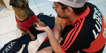 Un hincha sortea su entrada de las semifinales de la Copa Libertadores para salvar a su perro\u002E