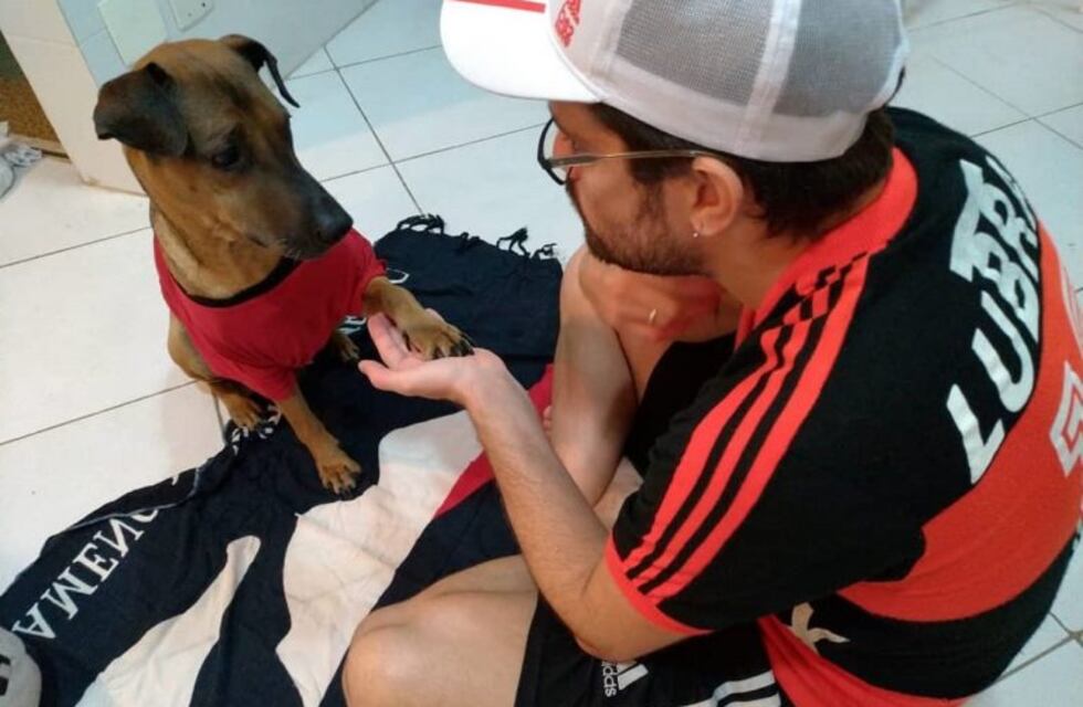 Un hincha sortea su entrada de las semifinales de la Copa Libertadores para salvar a su perro