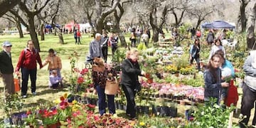 Expo Vivero (Vía Santa Rosa)