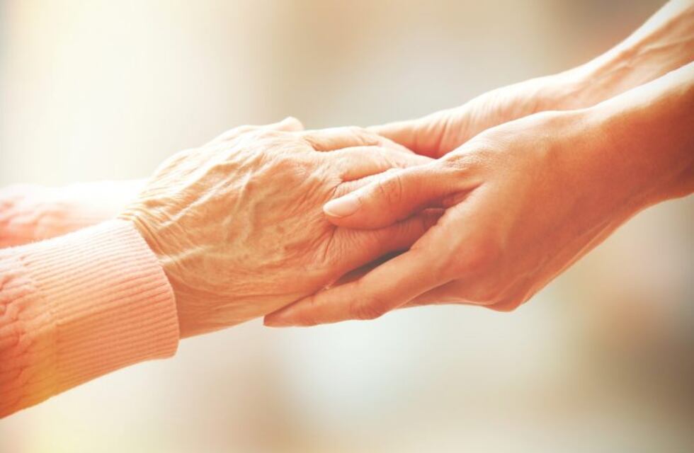 Rada Tilly: permisos a personas con Discapacidad y Condición del Espectro Autist