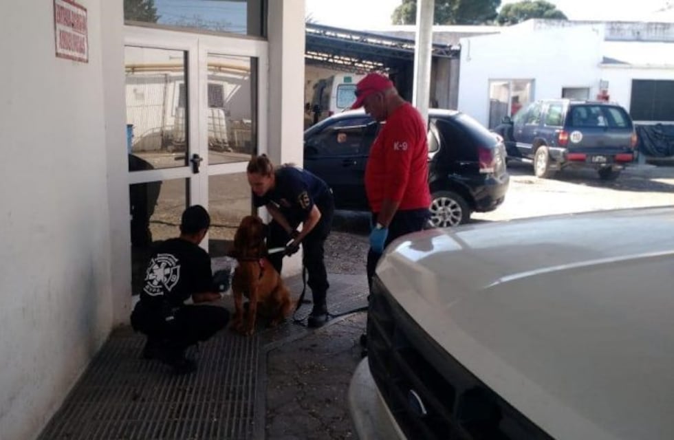 Punta Alta: choripan al paso para ayudar al k9 de los Bomberos Voluntarios