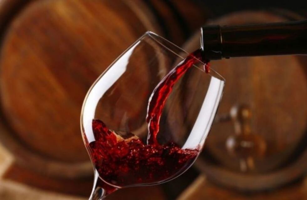 Todo lo que debes saber sobre los vinos de colección más caros de la Argentina