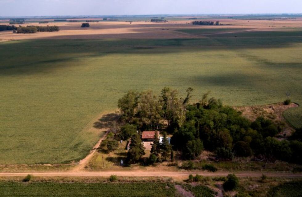 Suben la presión fiscal al campo con un cambio en Bienes Personales
