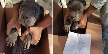 El emotivo gesto de un nene mexicano (Web)