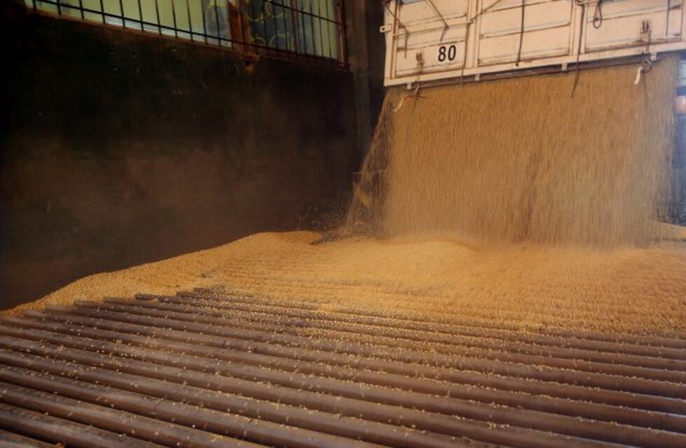 El Gobierno analiza suspender la rebaja gradual de las retenciones a la soja