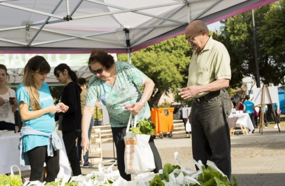 Canjeá tus residuos reciclables en zona sur y llevate productos sustentables