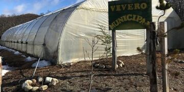 El vivero municipal ciudad de Tolhuin, Tierra del Fuego\u002E