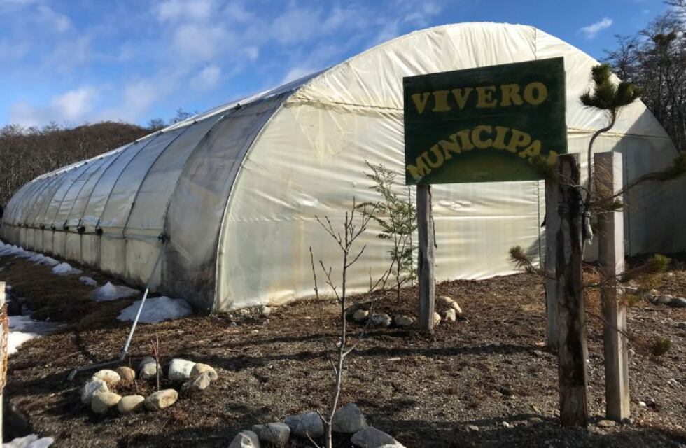 Qué elementos utiliza el invernadero de Tolhuin para preparar la tierra