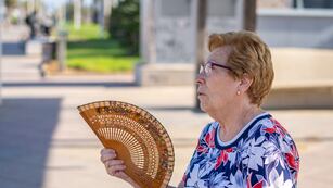 Consejos de la Municipalidad de Maipú