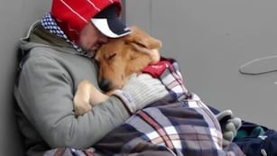 Sultán, el perro que no se separó nunca del hombre que murió por el frío en Mendoza