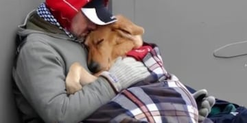 Sultán, el perro que no se separó nunca del hombre que murió por el frío en Mendoza