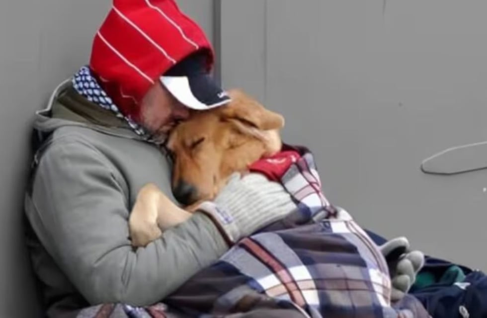Qué pasó con Sultán, el perro que no se separó nunca del hombre que murió por el frío en Mendoza