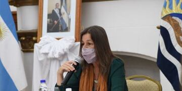 Frederic, en contra de Bullrich y en defensa de Insfrán (Foto: Noticias Santa Cruz)