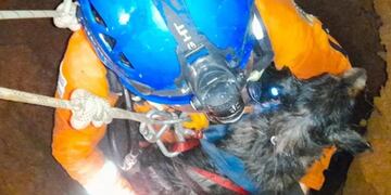 Final feliz para Luque: cayó a un pozo y debió ser rescatado por los Bomberos.